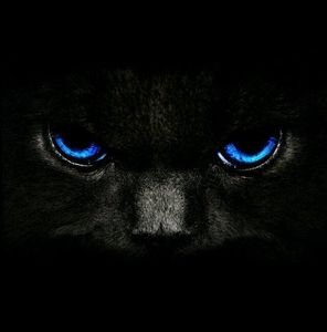 Meet your Posher, Al